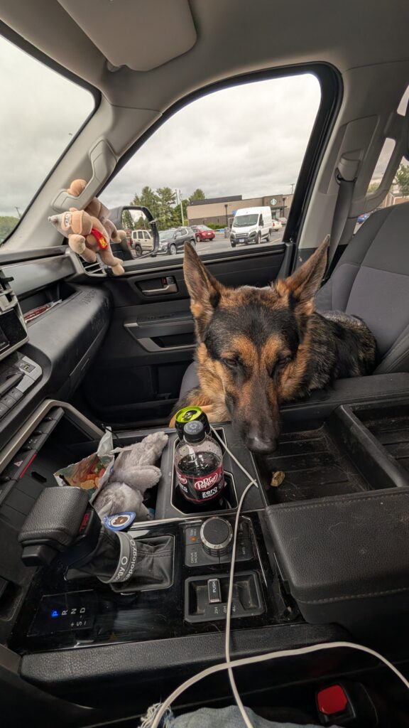 Riggs, German Shepherd — SloanOps Pack gallery photo
