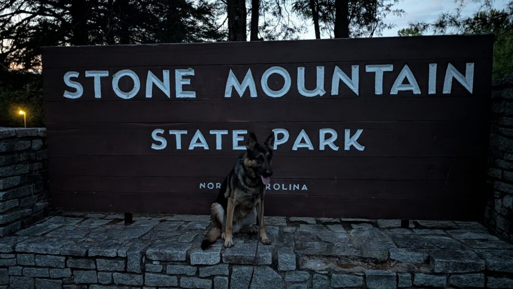 Riggs, German Shepherd — SloanOps Pack gallery photo