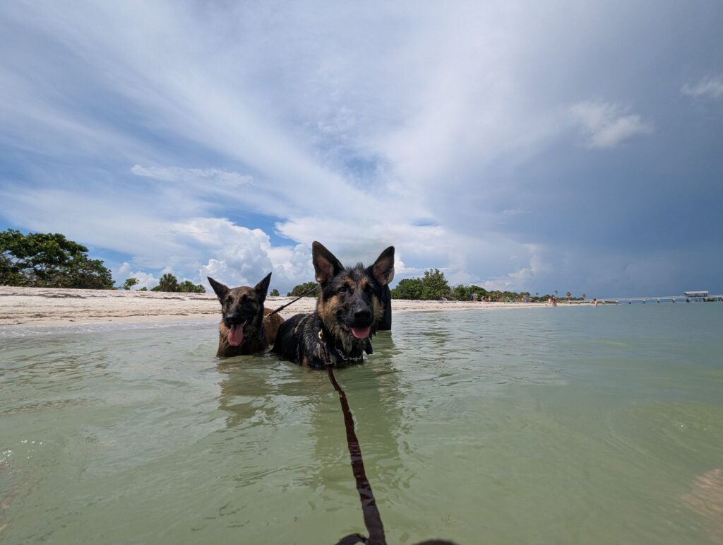Nora and Riggs standing together in shallow water at the beach