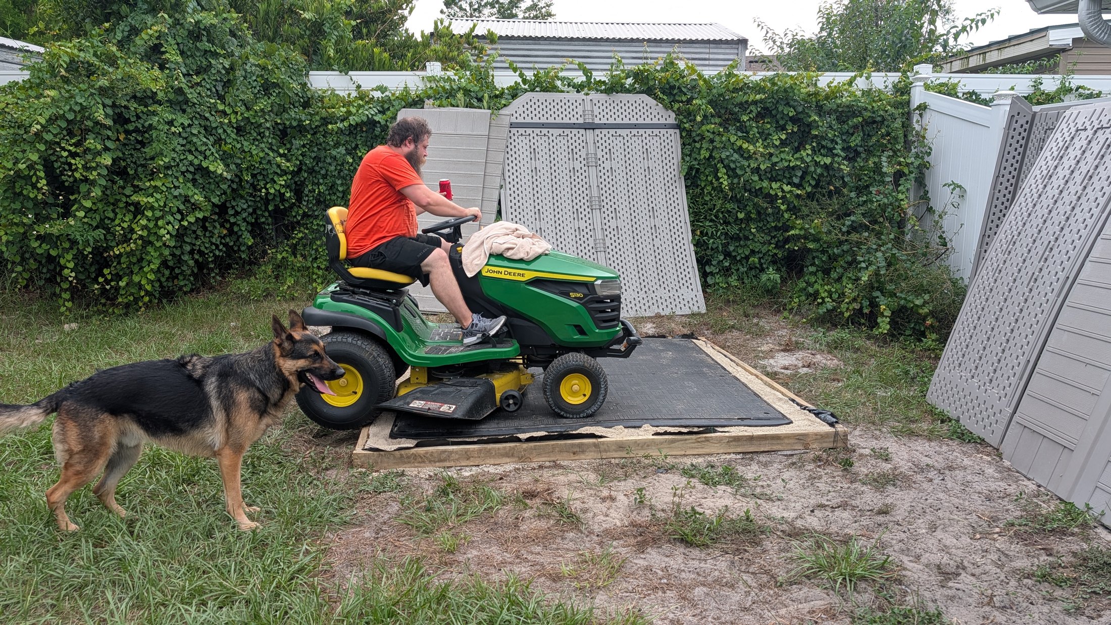 Two German shepherds supervising a mower test beside the shed foundation
